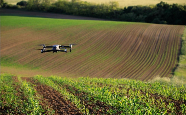 Беспилотники в деле: как и где они реально помогают