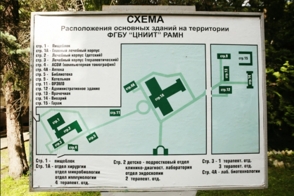 Юные фтизиатры на старте: как уверенность побеждает туберкулёз